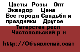 Цветы. Розы.  Опт.  Эквадор. › Цена ­ 50 - Все города Свадьба и праздники » Другое   . Татарстан респ.,Чистопольский р-н